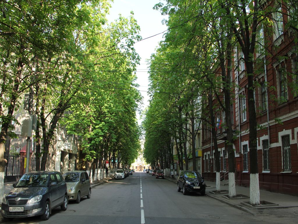 Voronezh